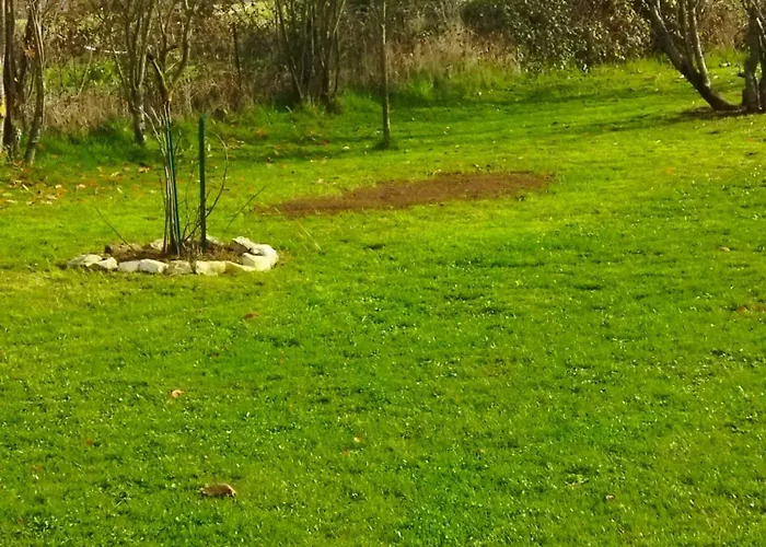 Les Lilas לינה וארוחת בוקר Saint-Clair (Vienne)